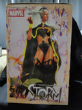 SEALED Diamond Select Retailer Conference Exclusive Premiere Collection STORM 