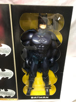 Batman & Robin Collector Series 12" figure  SS