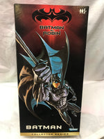 Batman & Robin Collector Series 12" figure  SS